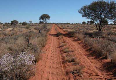 Westaustralien, Australien: Expedition Canning-Stock-Route - Piste aus rost-rotem Sand